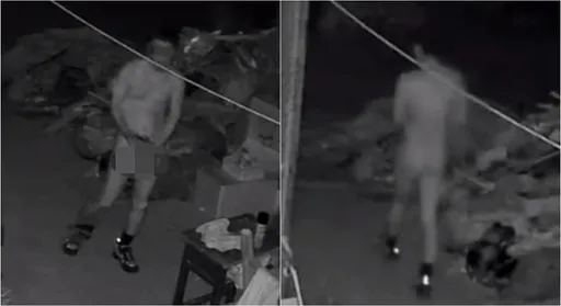 「巡山裸男」甩鳥逛大街　抓到了就是他！網歪樓：好小