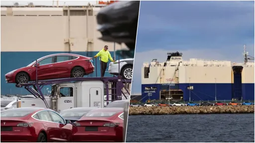 逾6000輛特斯拉運抵澳洲下船 結果因臭蟲被全部打包退回上海了