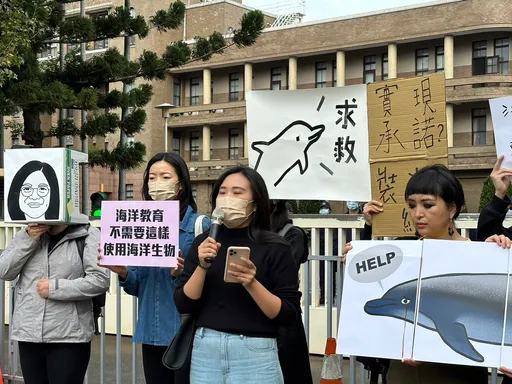 管碧玲給你錢讓我騎!民團盼放過海豚「禁商演」