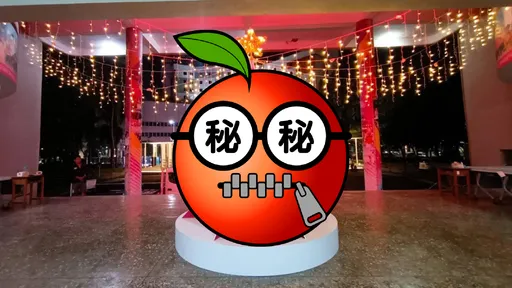 雄女7萬元耶誕樹!學姊成本回饋價 樹下放硬幣原因酸爆了