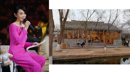 刘若英被爆北京拥4亿四合院　扯出老公书店梦