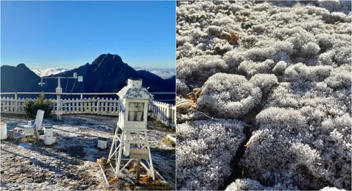 零下4.2°C!玉山北峰結霜 絕美「糖霜灑地」畫面曝光