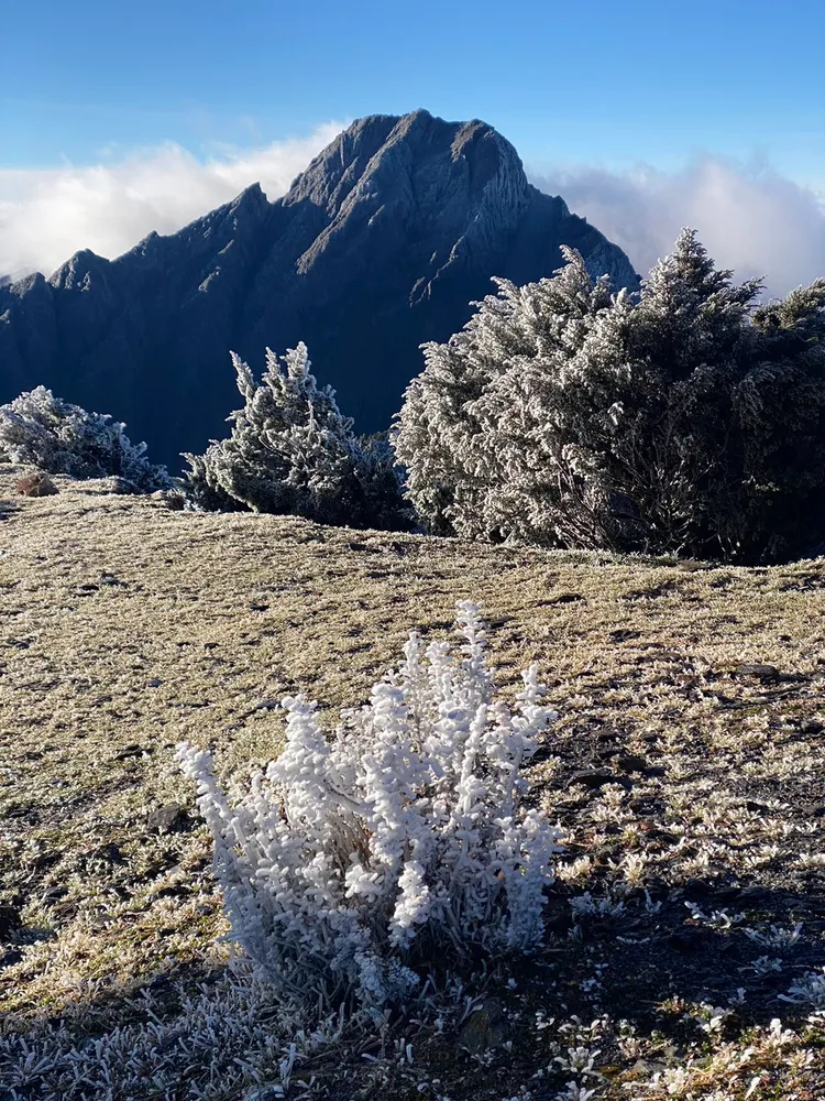 玉山氣象站（玉山北峰）今晨發現霧淞。中央氣象署提供