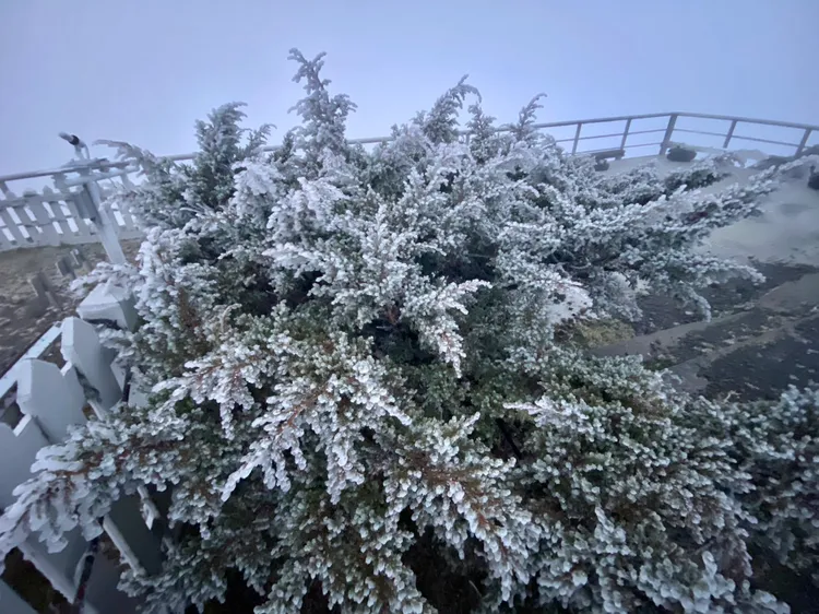 玉山氣象站（玉山北峰）今晨發現霧淞。中央氣象署提供