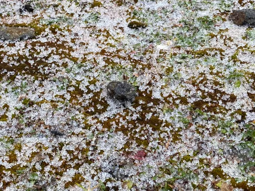 寒流急凍!玉山中午降冰珠 掉到硬地面還會彈起