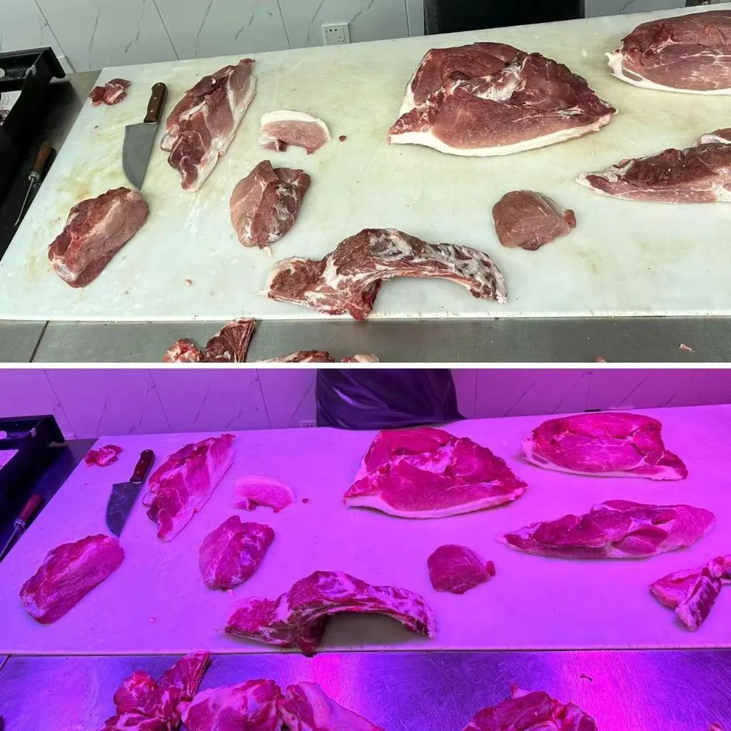 上圖為日光燈下的肉品;下圖為「生鮮燈」下的肉品。新華社