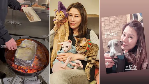 47歲女星黎淑賢驚傳離世 剛辦完炭烤聖誕派對還開心自拍