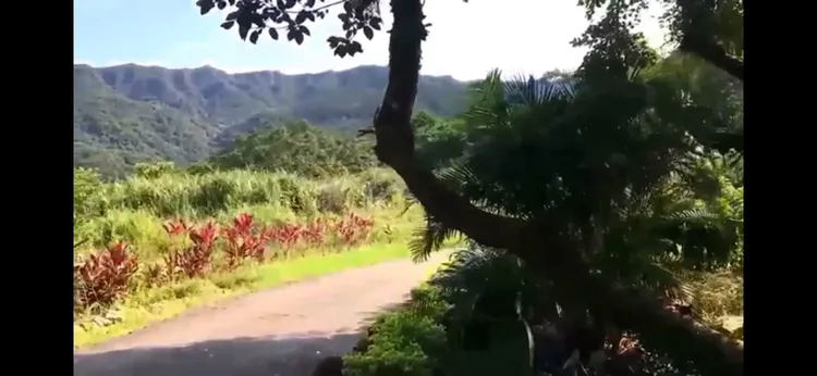 賴清德萬里老家實景影片截圖，翻攝自論壇PTT