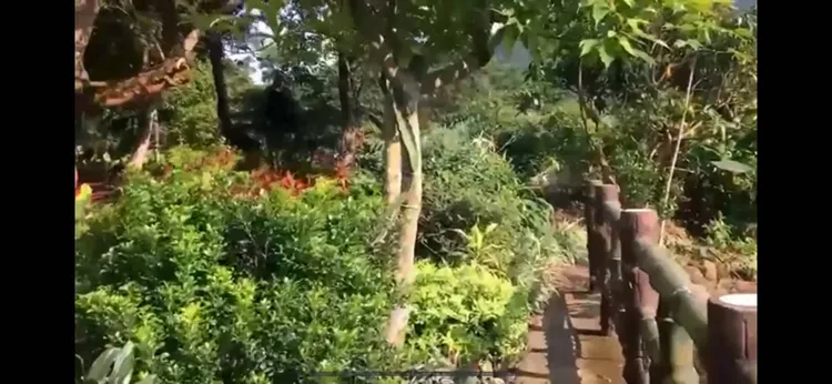 賴清德萬里老家實景影片截圖，翻攝自論壇PTT