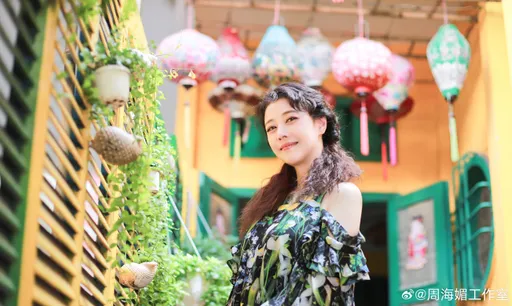 周海媚病歷外洩！2人遭逮捕　身分曝光