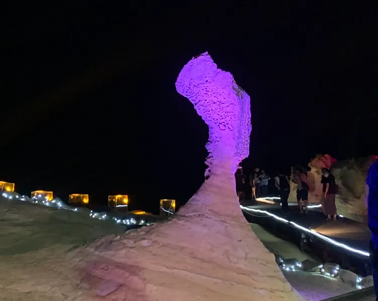 女王頭今年僅剩近119公分。陳怡文攝