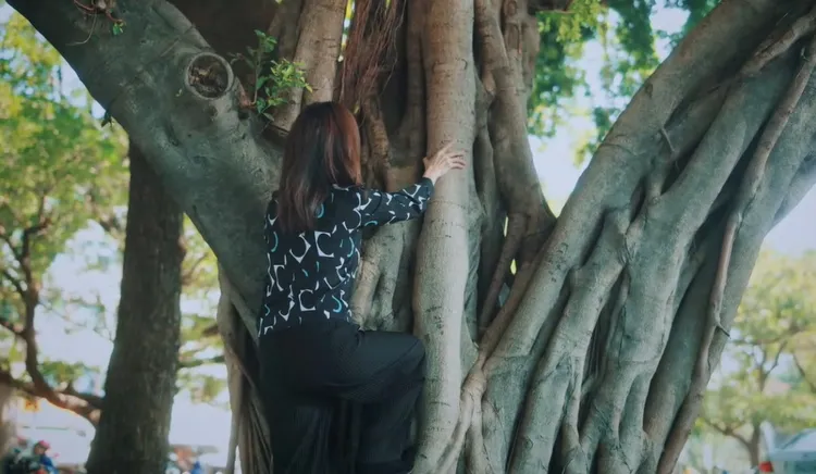 郭昱晴模仿韓國瑜爬樹。