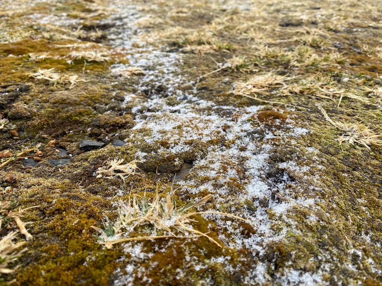 玉山下雪了!07:55北峰飘雪。中央气象署提供