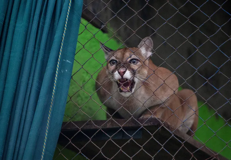 Itzae的媽媽。路透社