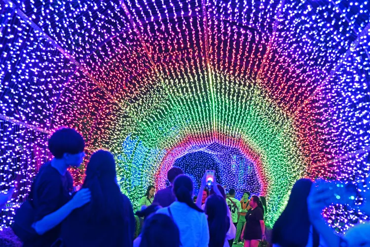 新加坡濱海灣花園「聖誕仙境」。新華社