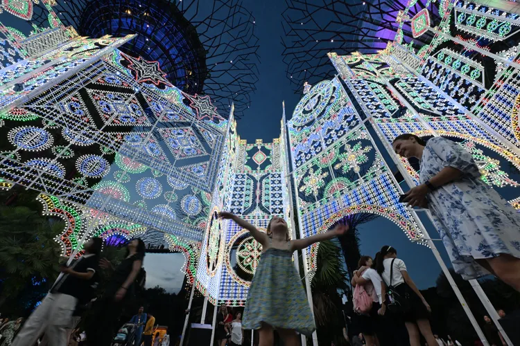 新加坡濱海灣花園「聖誕仙境」。新華社