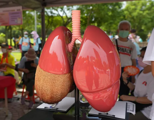 自體免疫疾病易菜瓜布肺!輕忽喘、咳、累 5年死亡率近四成