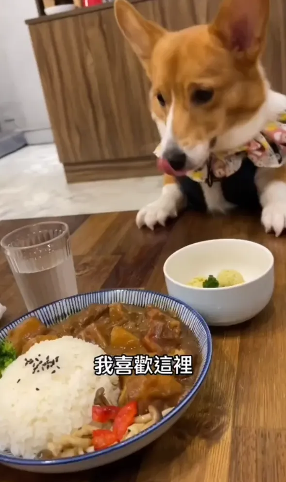 看起來好美味，只有流口水的份。TikTok@chinchin_hihi 提供