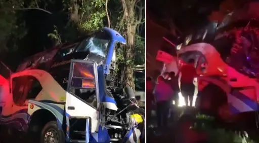 「夜行巴士」猛撞路樹　半個車身「消失」至少14人死亡