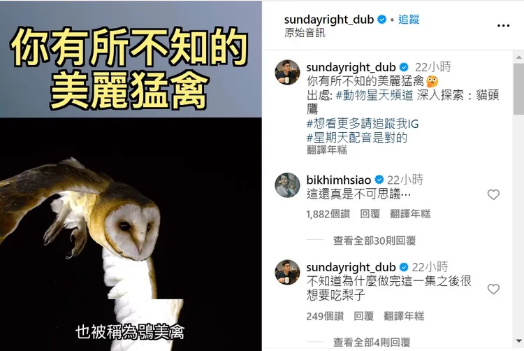 「鴞美禽」釣到本尊蕭美琴留言。取自星期天IG