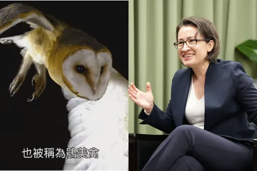 動物片介紹「鴞美禽」偷臭猴馬豬！釣到本尊留言了　網笑翻朝聖