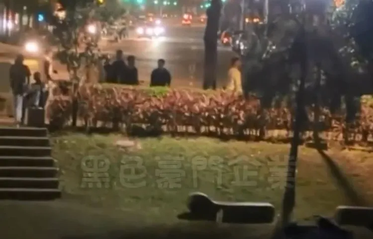 10多人在大里區康橋水岸公園鬥毆，畫面被民眾拍下。翻攝「黑色豪門企業」