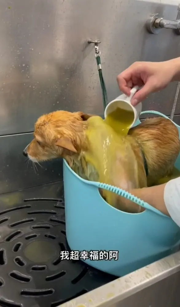 這可不是泥巴水，是草本敷泥spa喔~
TikTok@chinchin_hihi 提供