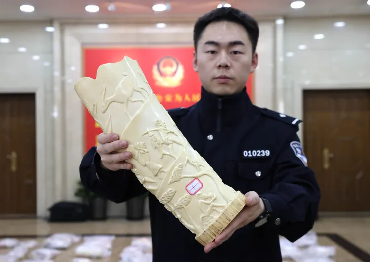北京海關緝私局所屬北京經濟技術開發區海關緝私分局民警，9日展示查獲的走私象牙製品。新華社