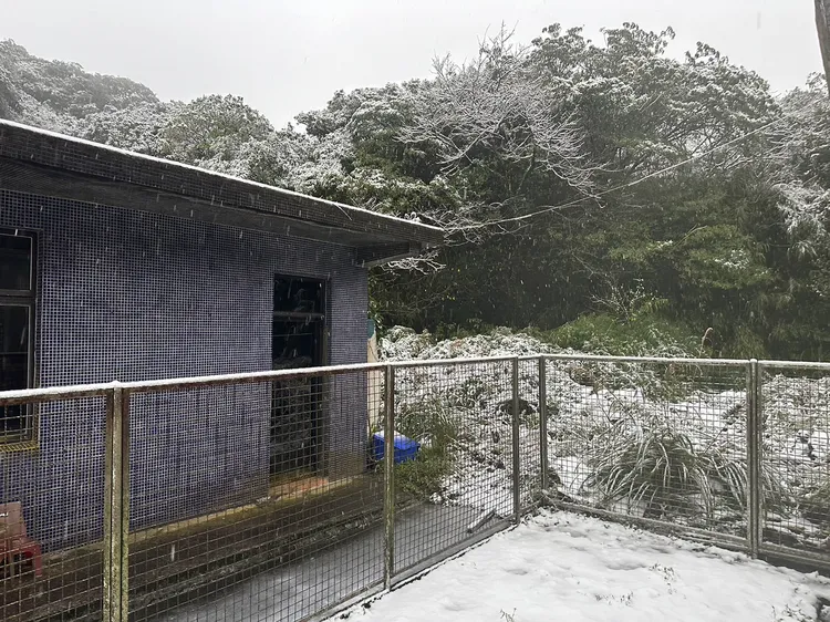 氣象署鞍部氣象站，今晨雪景。氣象署提供