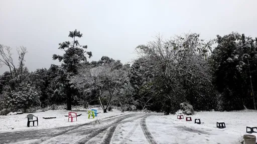 睽違8年!烏來山區也下雪了 967高地一片銀白如仙境