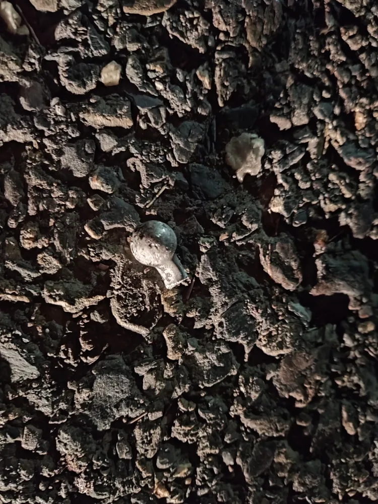 警方在車禍現場起出斷裂的機車握把。讀者提供