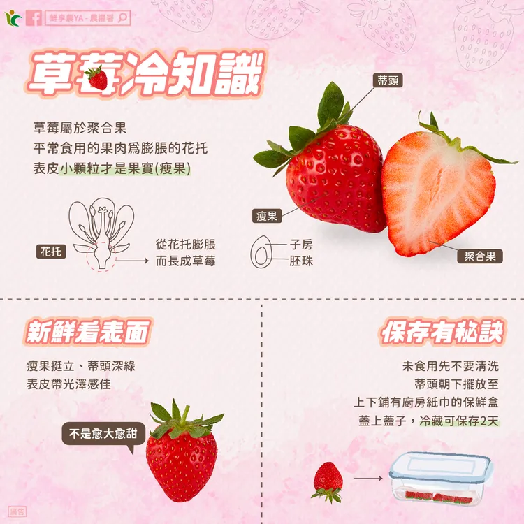 挑選草莓看3地方。翻攝臉書「鮮享農YA - 農糧署」