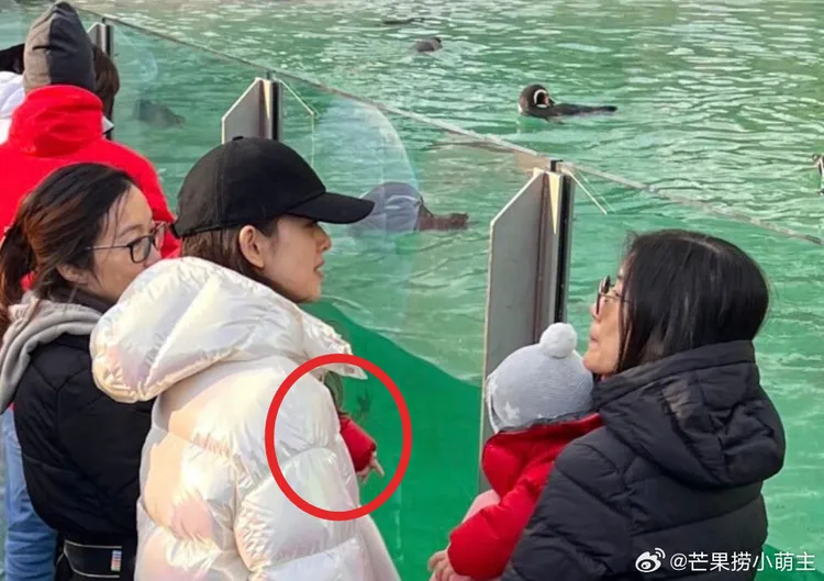 上月有網友在倫敦動物園巧遇章澤天帶兩個打扮一樣的男娃出遊。翻攝芒果撈小萌主微博