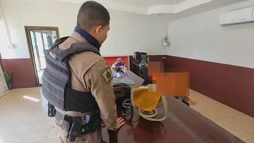 23歲男搭公車當眾自慰 進警局繼續尻:手淫是我生活唯一樂趣