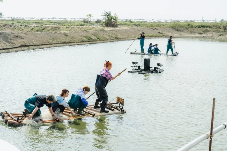 藝人赴魚塭出任務。好看娛樂提供