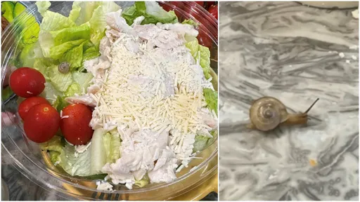 好市多沙拉有「活體蝸牛」爬呀爬! 她嚇傻:沒洗直接裝盒?