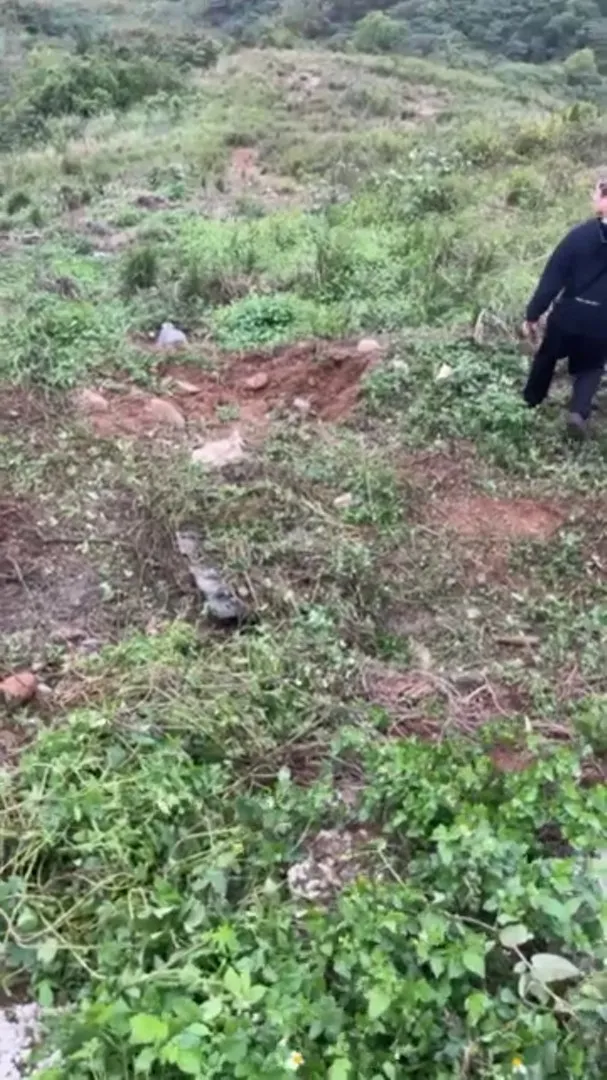 離職員工提供當時受到指示後，以樹枝葉遮擋污水管的畫面。爆料人提供