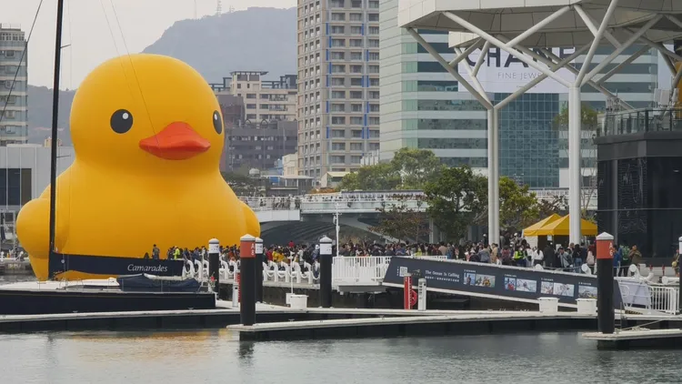 部落客「吃貨閔爸」直擊黃色小鴨風采。翻攝《一對爸媽兩個娃的吃貨人生》粉絲頁