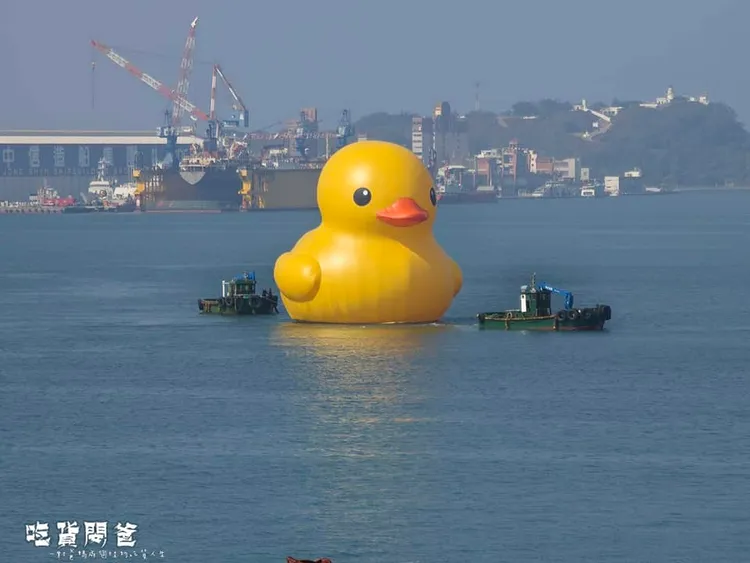 部落客「吃貨閔爸」直擊黃色小鴨風采。翻攝《一對爸媽兩個娃的吃貨人生》粉絲頁