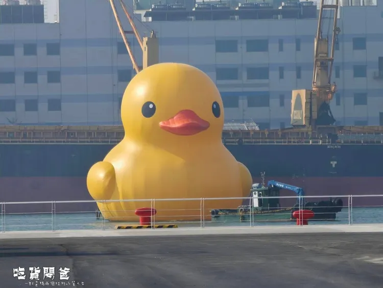 部落客「吃貨閔爸」直擊黃色小鴨風采。翻攝《一對爸媽兩個娃的吃貨人生》粉絲頁