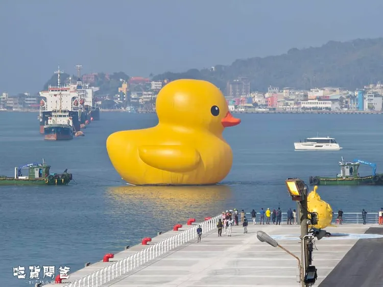 部落客「吃貨閔爸」直擊黃色小鴨風采。翻攝《一對爸媽兩個娃的吃貨人生》粉絲頁