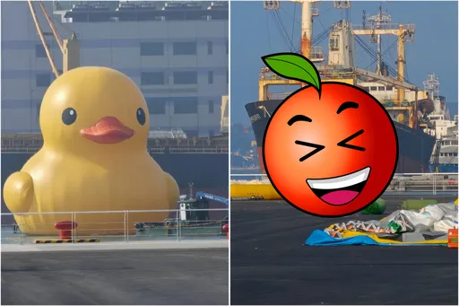 黃色小鴨下水先跌倒!網友驚呼:原來有腳!