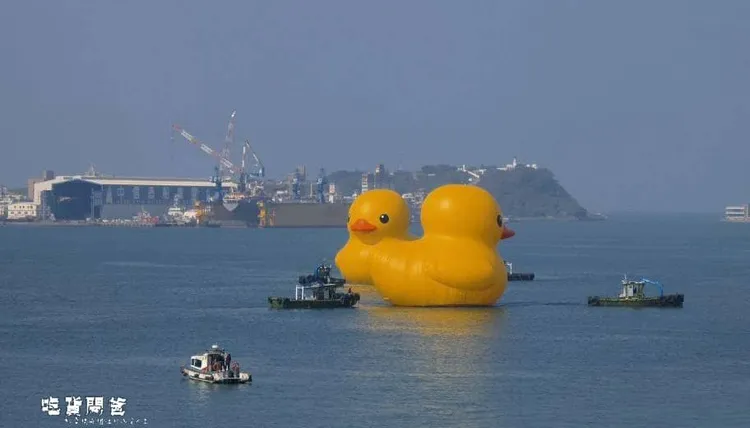 部落客「吃貨閔爸」直擊黃色小鴨風采。翻攝《一對爸媽兩個娃的吃貨人生》粉絲頁