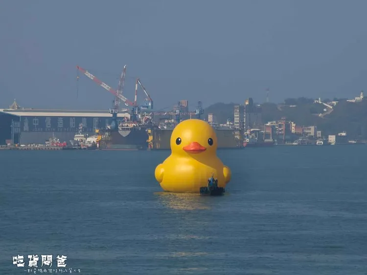 部落客「吃貨閔爸」直擊黃色小鴨風采。翻攝《一對爸媽兩個娃的吃貨人生》粉絲頁