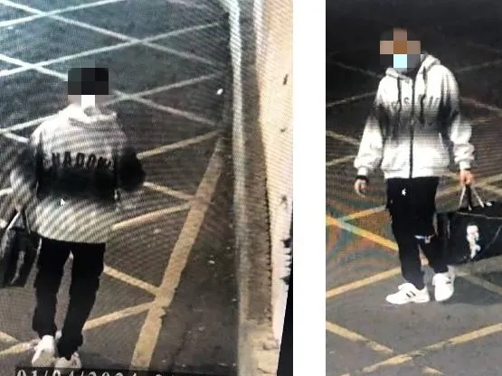 羅男變裝。中壢警分局提供