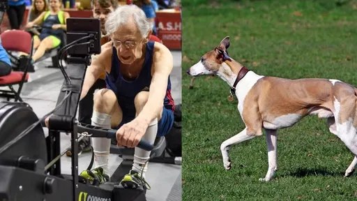 93歲「老人」肌肉量高達80%體力如40歲 專家認證:如惠比特犬般結實