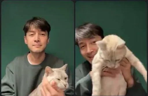 胡歌抱「大女兒」一臉寵溺 貓奴現形勾劉濤恐怖回憶