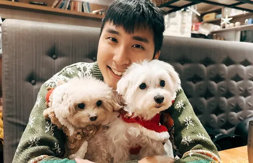 胡釋安火鍋店激吻馬尾妹 經紀人17字大方認愛