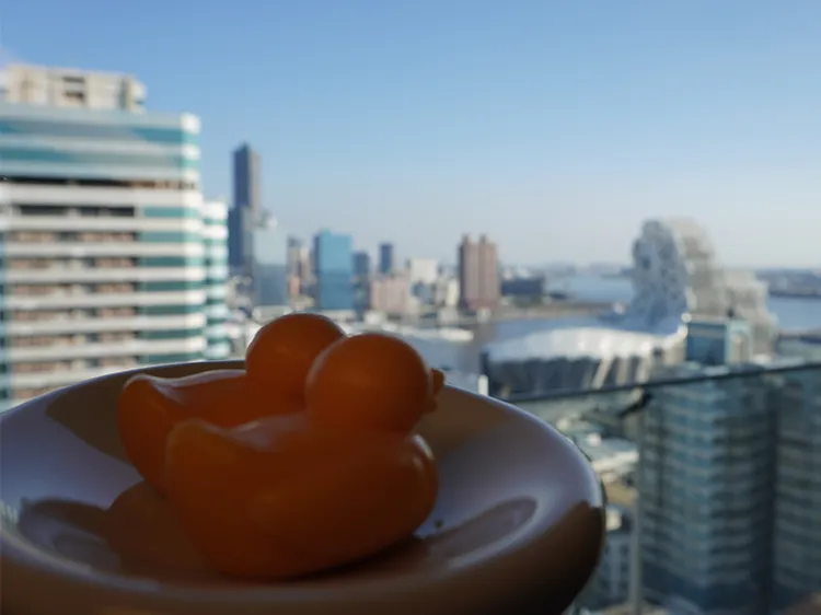 福容高雄店小鴨住房專案，豪華雙床、行政客房、景觀套房三種房型5699元起。業者提供