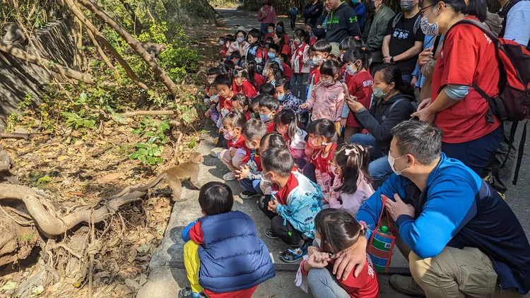 高雄獅湖附幼校外教學，請林美吟帶小朋友上山賞猴。台灣獼猴共存推廣協會提供